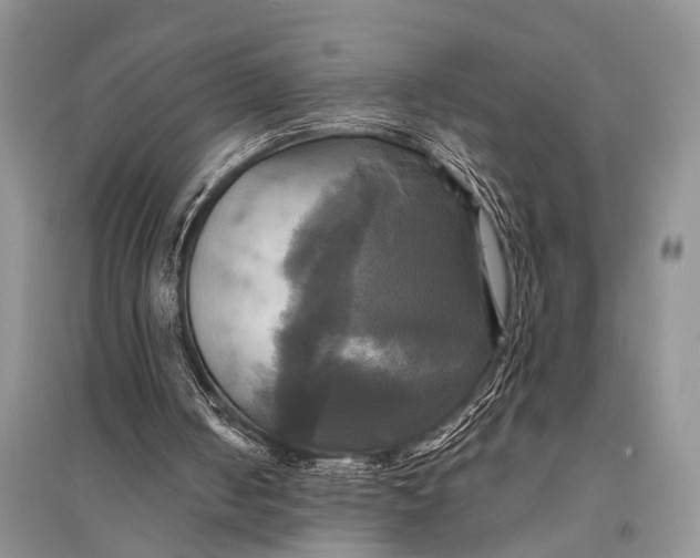 X0000094900050200712201143