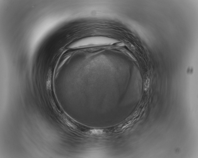 X0000094900052200712201143