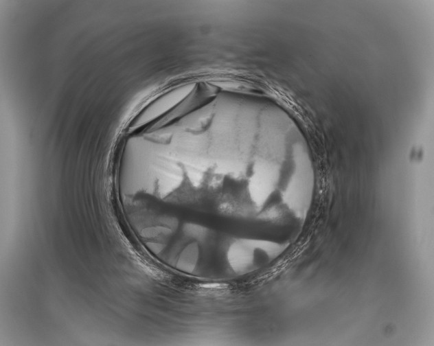 X0000094900053200712201143