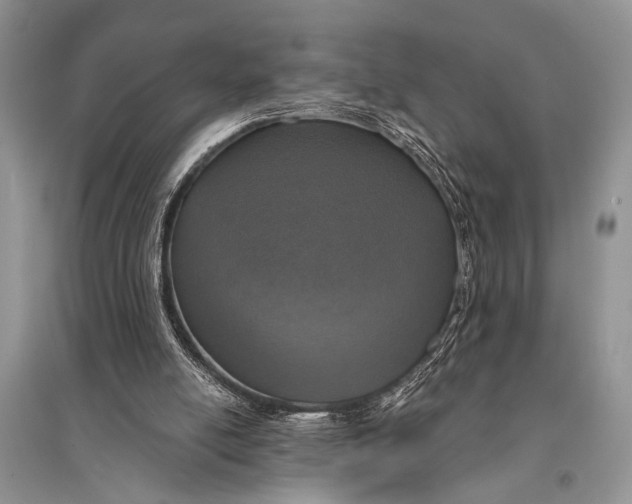 X0000094900054200712201143