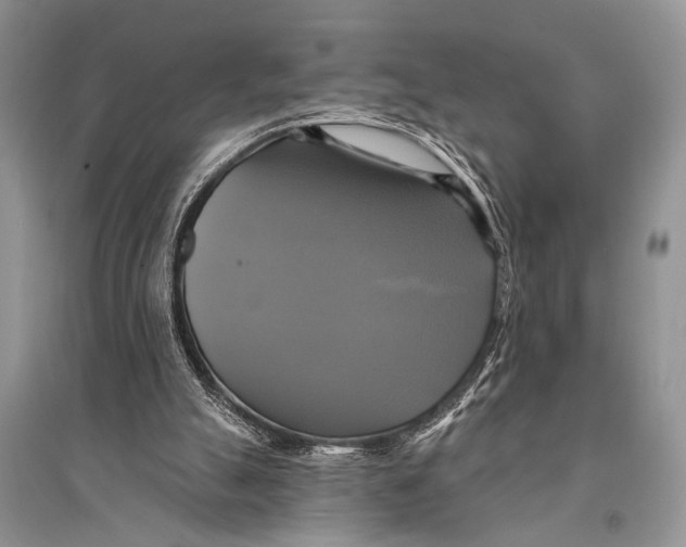 X0000094900055200712201143