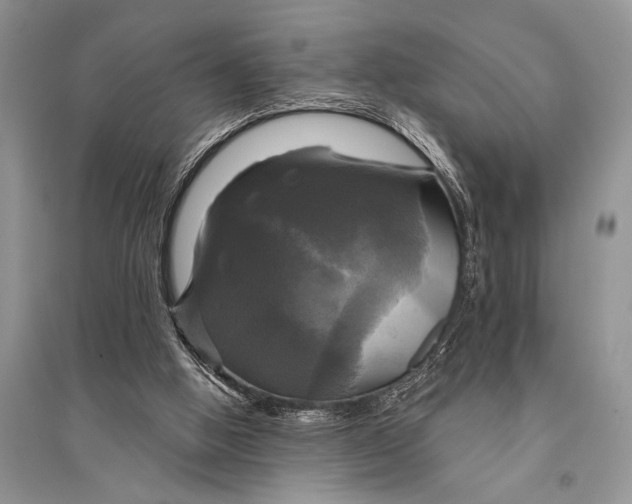 X0000094900058200712201143