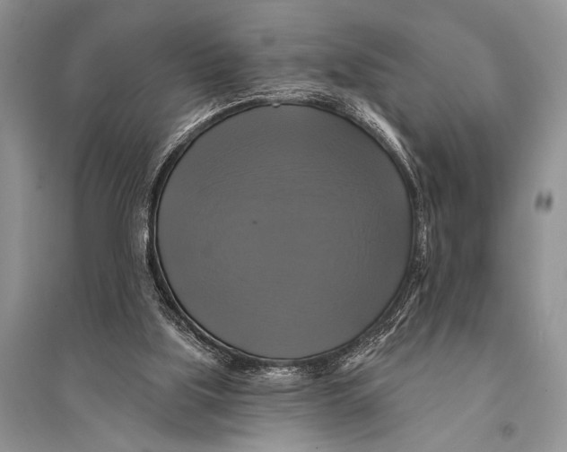 X0000094900059200712201143