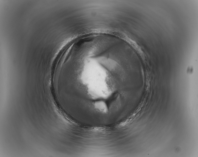 X0000094900060200712201143