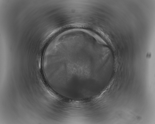 X0000094900062200712201143