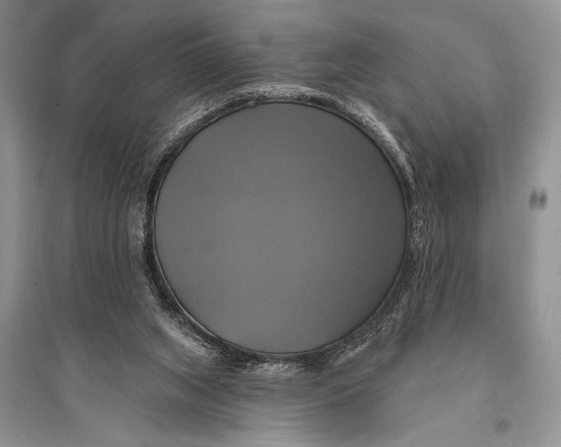 X0000094900063200712201143