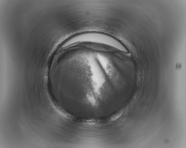 X0000094900064200712201143