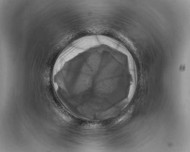 X0000094900065200712201143