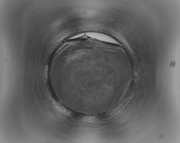 X0000094900066200712201143