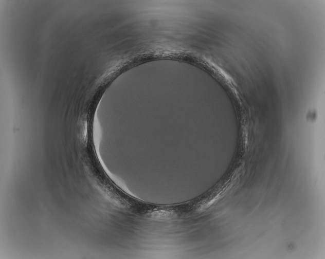 X0000094900067200712201144