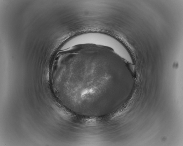 X0000094900068200712201144