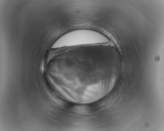 X0000094900069200712201144