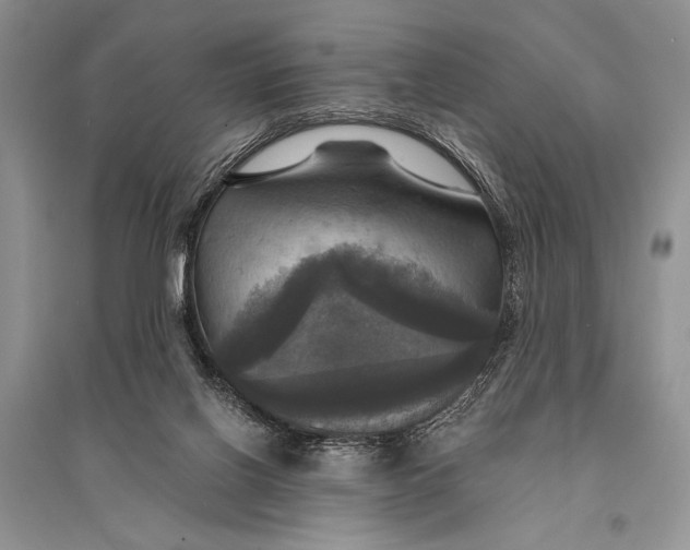 X0000094900070200712201144