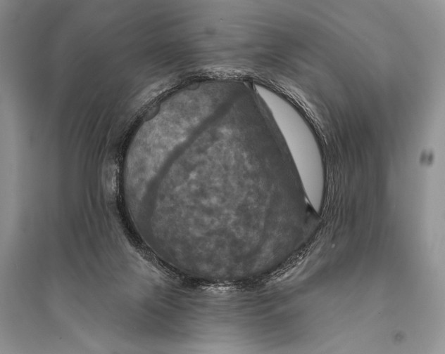 X0000094900071200712201144