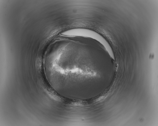 X0000094900072200712201144