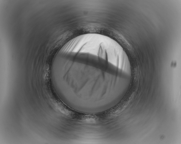 X0000094900073200712201144