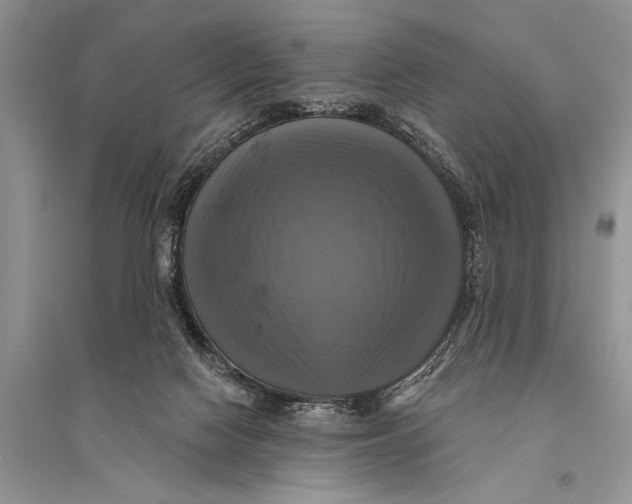 X0000094900074200712201144