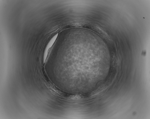 X0000094900075200712201144