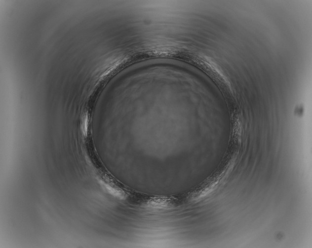 X0000094900076200712201144