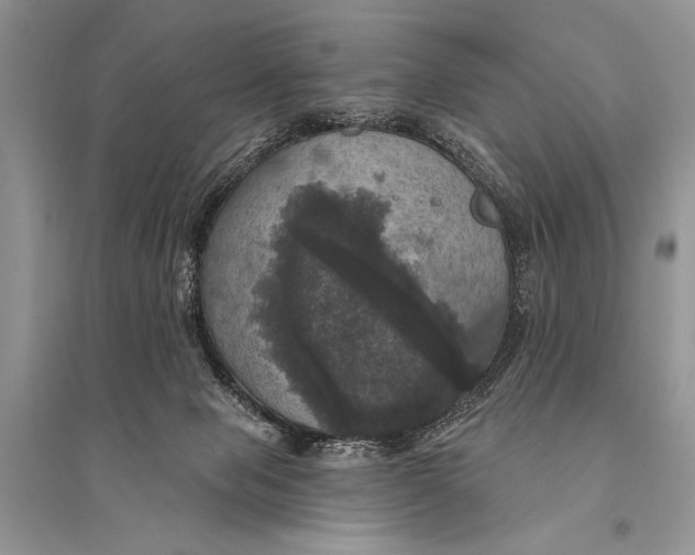 X0000094900077200712201144