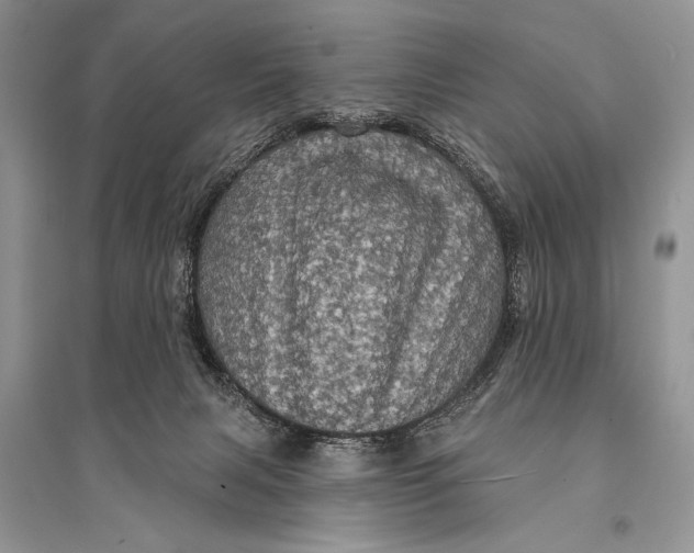 X0000094900079200712201144