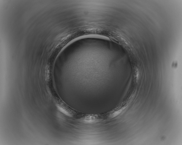 X0000094900080200712201144