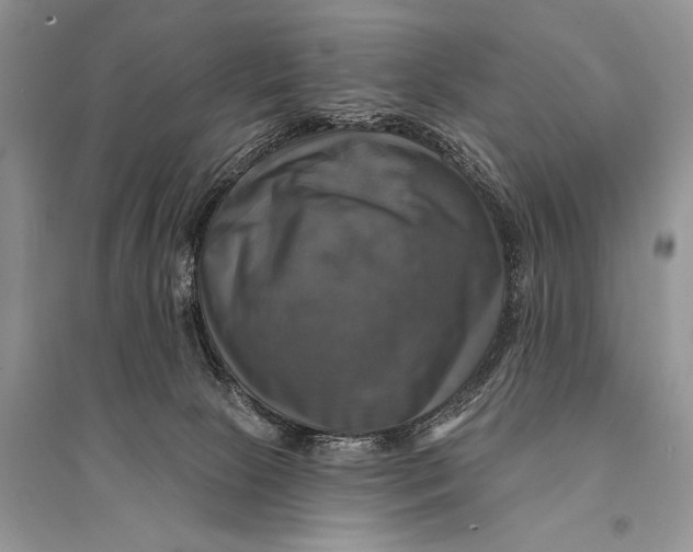 X0000094900081200712201144