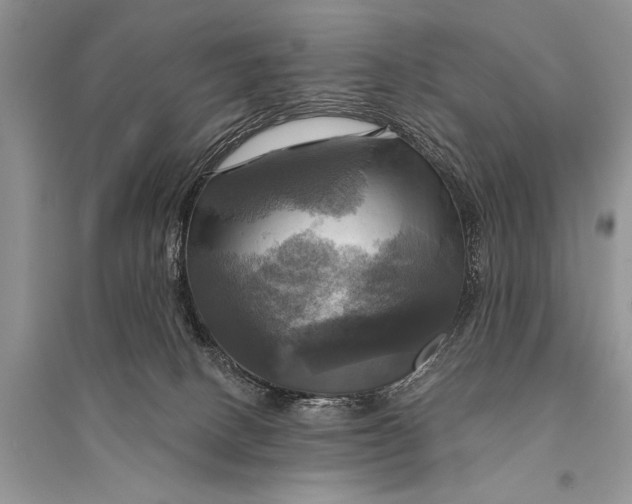 X0000094900082200712201144