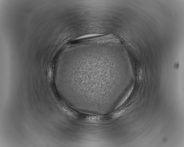 X0000094900084200712201144