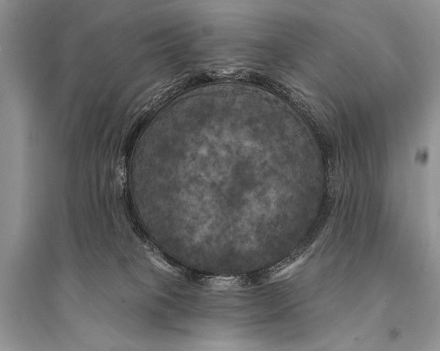 X0000094900085200712201144