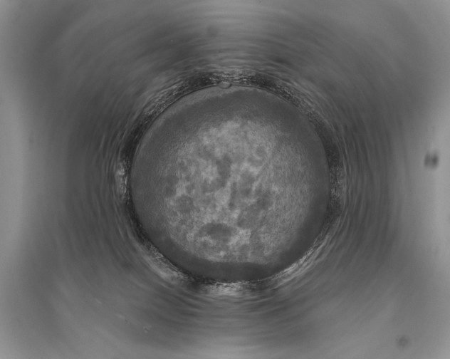 X0000094900086200712201144