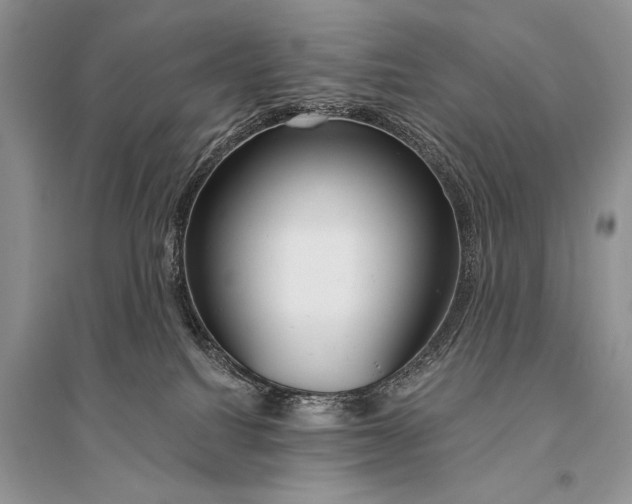 X0000094900088200712201144