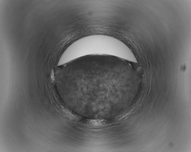 X0000094900089200712201144