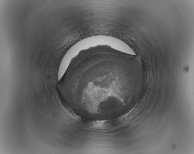 X0000094900090200712201144