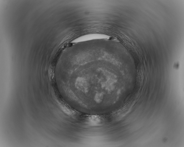 X0000094900091200712201144