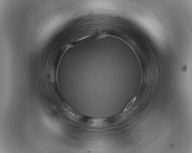 X0000094900093200712201144