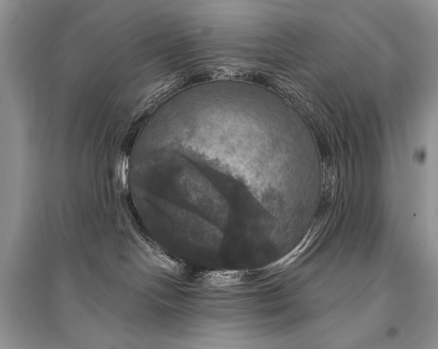 X0000094900094200712201144