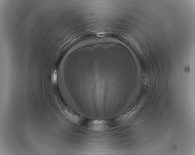 X0000094900095200712201144