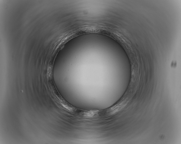 X0000094900096200712201144