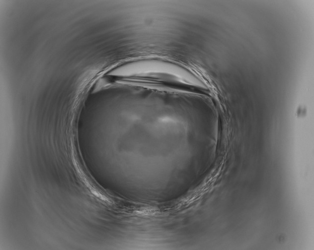 X0000094900097200712201143