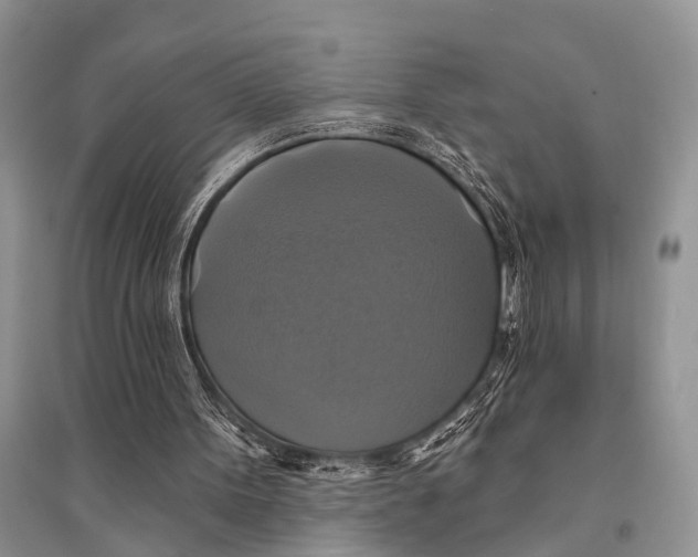 X0000094900099200712201143