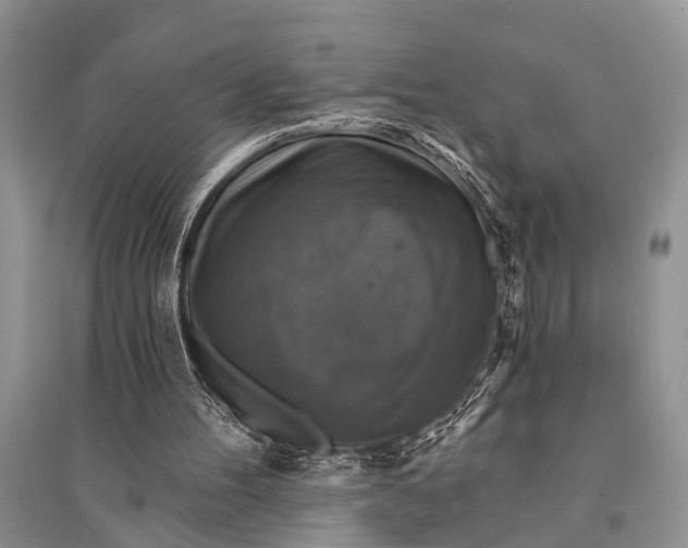 X0000094900100200712201143