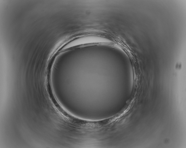 X0000094900101200712201143