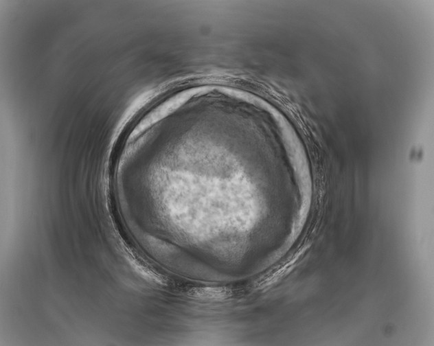 X0000094900102200712201143