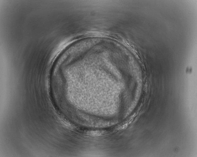 X0000094900103200712201143