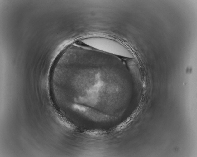 X0000094900104200712201143