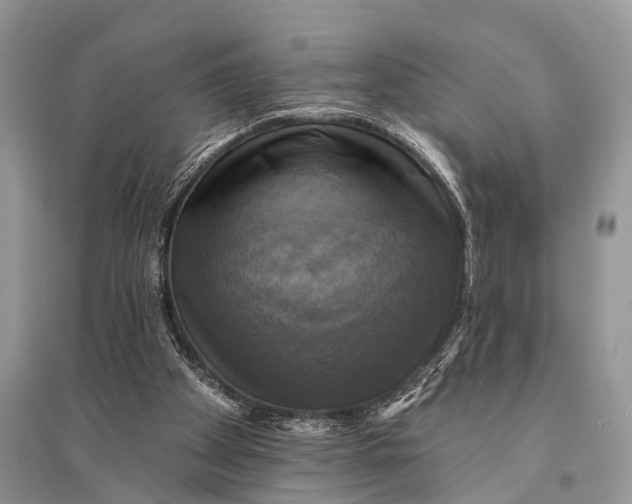 X0000094900105200712201143