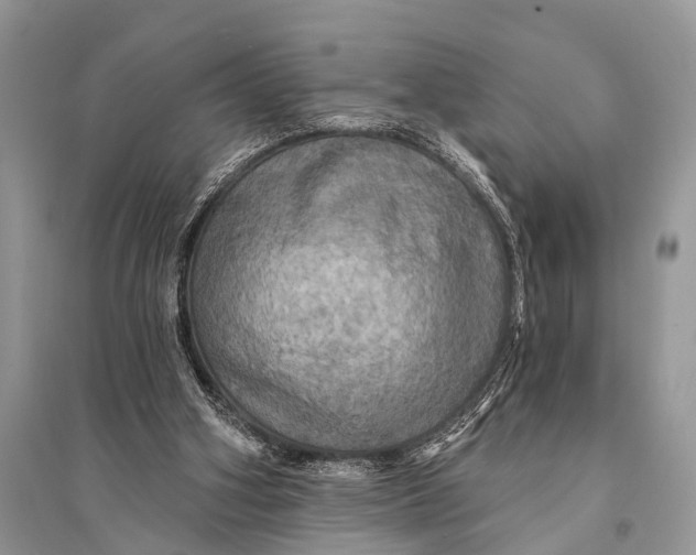 X0000094900106200712201143