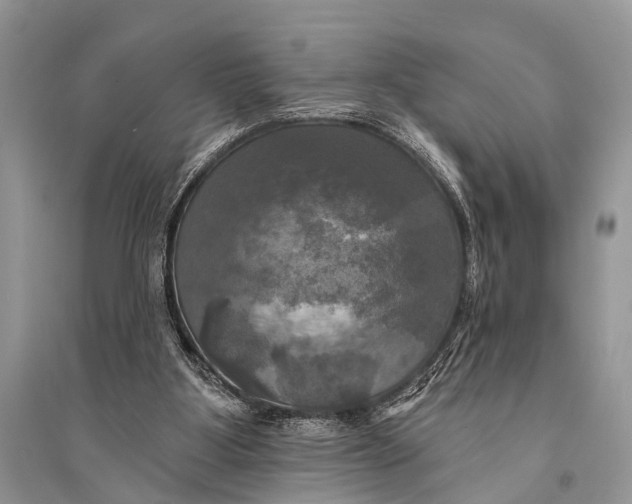 X0000094900107200712201143