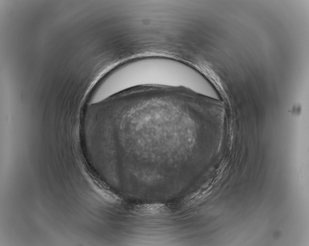 X0000094900108200712201143